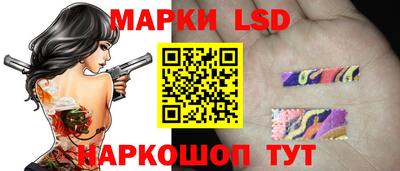 индика Кингисепп