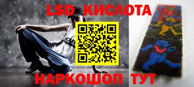 индика Кингисепп