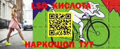 индика Кингисепп