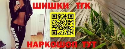 индика Кингисепп