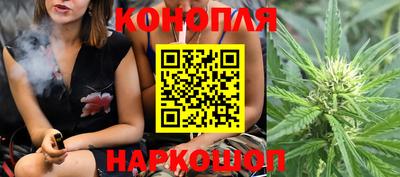 индика Кингисепп