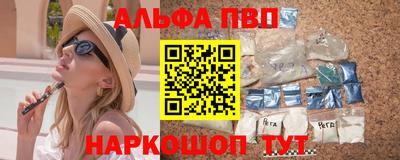индика Кингисепп